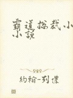 霸道总裁小娇妻小说