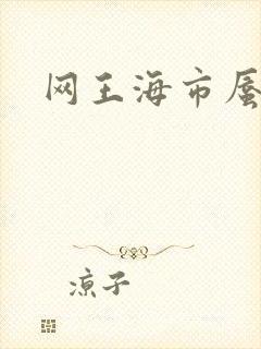 网王海市蜃楼