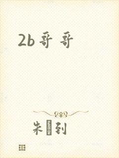 2b哥哥
