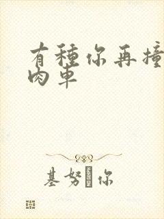 有种你再撞一下肉车