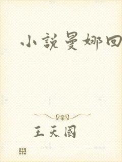 小说曼娜回忆录