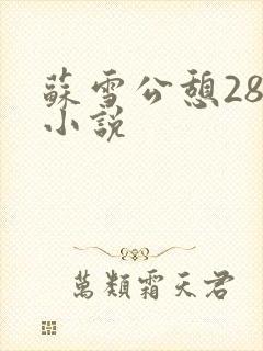 苏雪公憩28篇小说