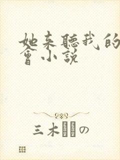 她来听我的演唱会小说