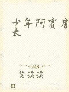 少年阿宾房东太太