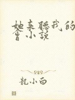 她来听我的演唱会小说