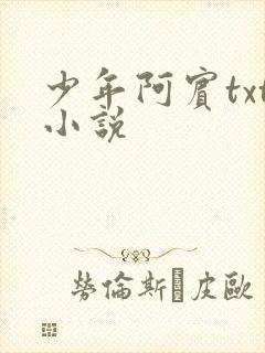 少年阿宾txt小说