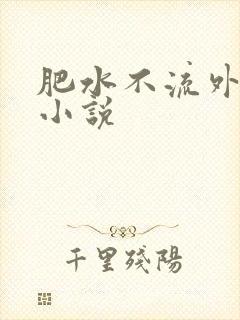肥水不流外人田小说