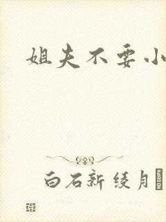姐夫不要小说
