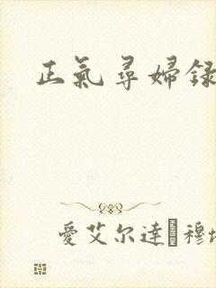 正气寻妇录