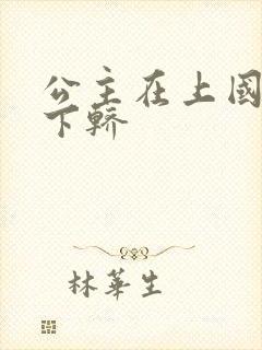 公主在上国师请下轿