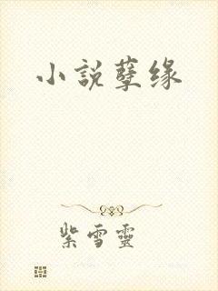 小说孽缘