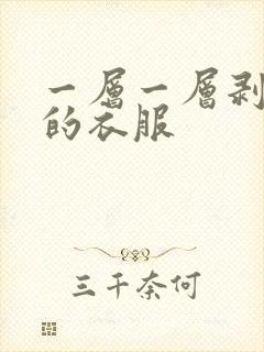 一层一层剥开我的衣服