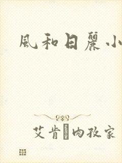 风和日丽小说