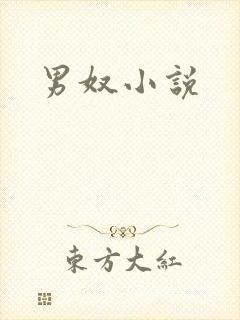 男奴小说