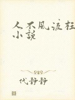 人不风流枉少年小说