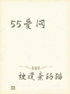 55爱网