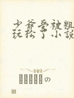 少爷受被粗汉H玩松了小说