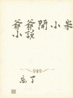 爷爷开小米的包小说
