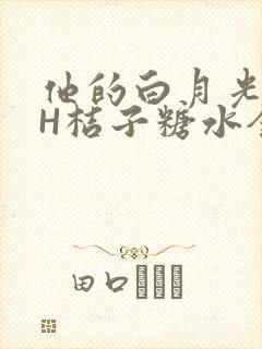 他的白月光HVH桔子糖水全文