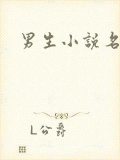 男生小说名字