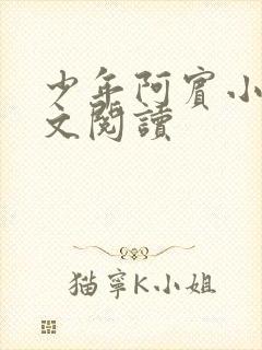 少年阿宾小说全文阅读