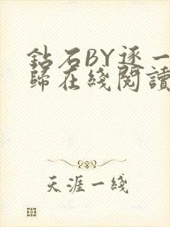 钻石BY逐一而归在线阅读