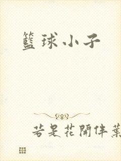 篮球小子