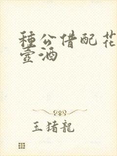 种公借配花间一壶酒