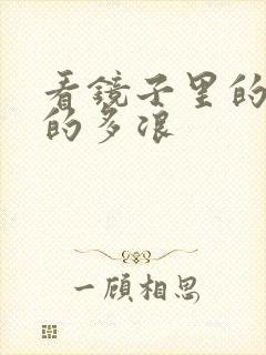 看镜子里的你叫的多浪
