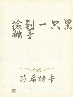 捡到一只黑心小触手