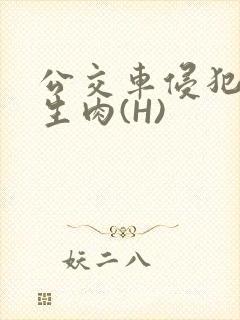 公交车侵犯小男生肉(H)