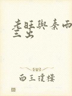 老旺与秦雨三进三出