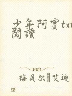 少年阿宾txt阅读