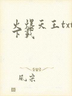 火爆天王txt下载