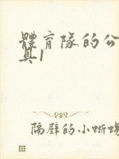 体育队的公用玩具1