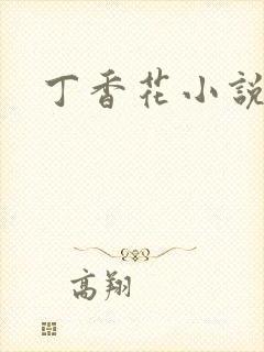 丁香花小说