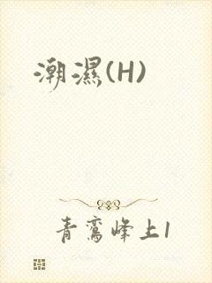潮湿(H)
