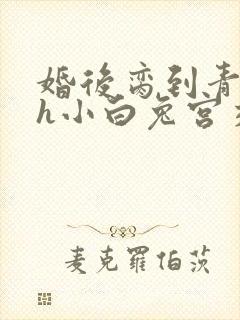 婚后脔到青梅哭h小白兔宫交h