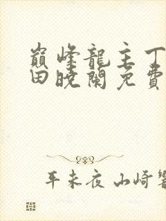 巅峰龙主丁长顺田晓兰免费阅读