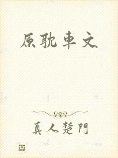 原耽车文