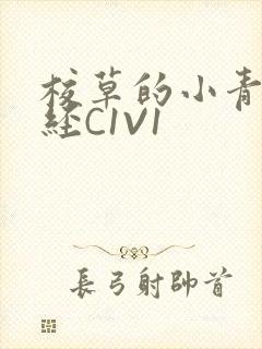 校草的小青梅不经C1V1