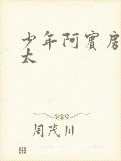 少年阿宾房东太太