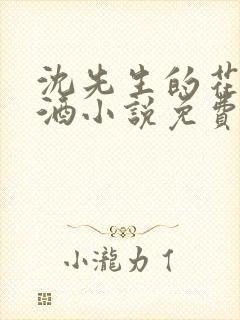 沈先生的花式调酒小说免费阅读