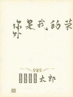 你是我的荣耀番外