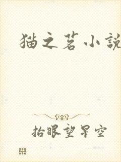猫之茗小说