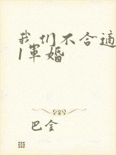 我们不合适1v1军婚