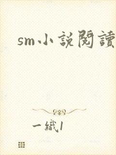 sm小说阅读