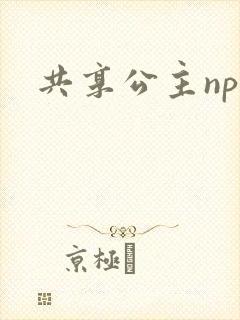 共享公主npc