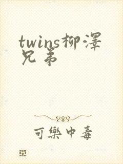 twins柳泽兄弟