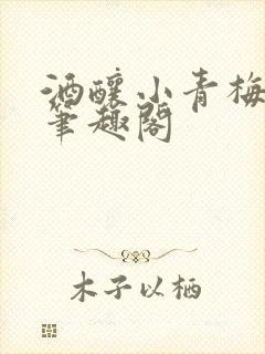 酒酿小青梅po笔趣阁